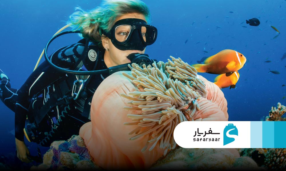 درباره جزیره بنانا غواصی