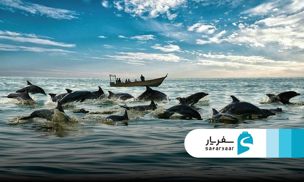 درباره جزیره هنگام