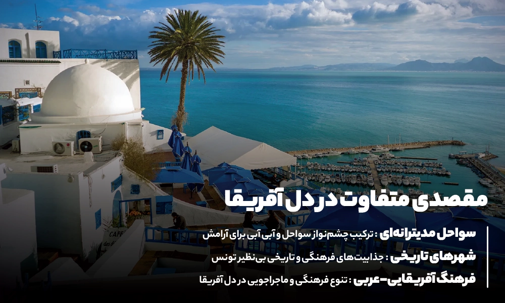 درباره تور تونس
