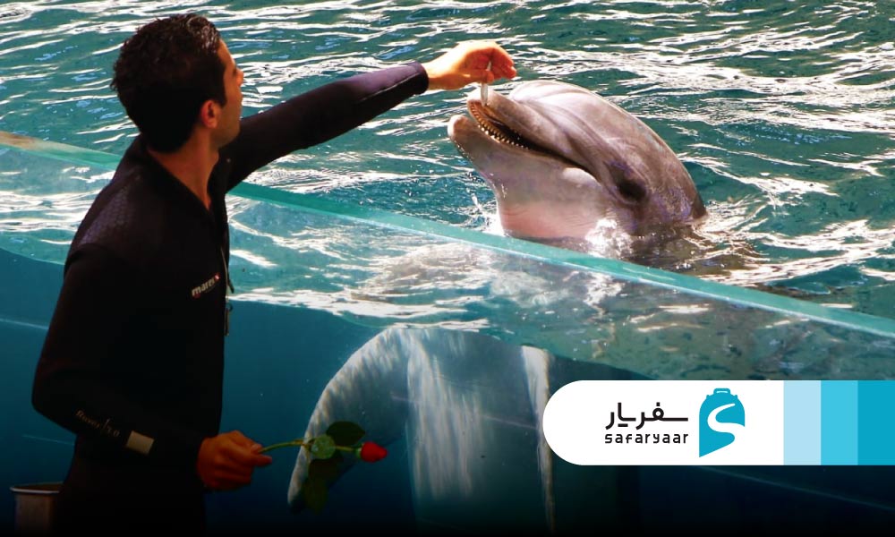 جاذبه های نزدیک به اسکله تفریحی کیش