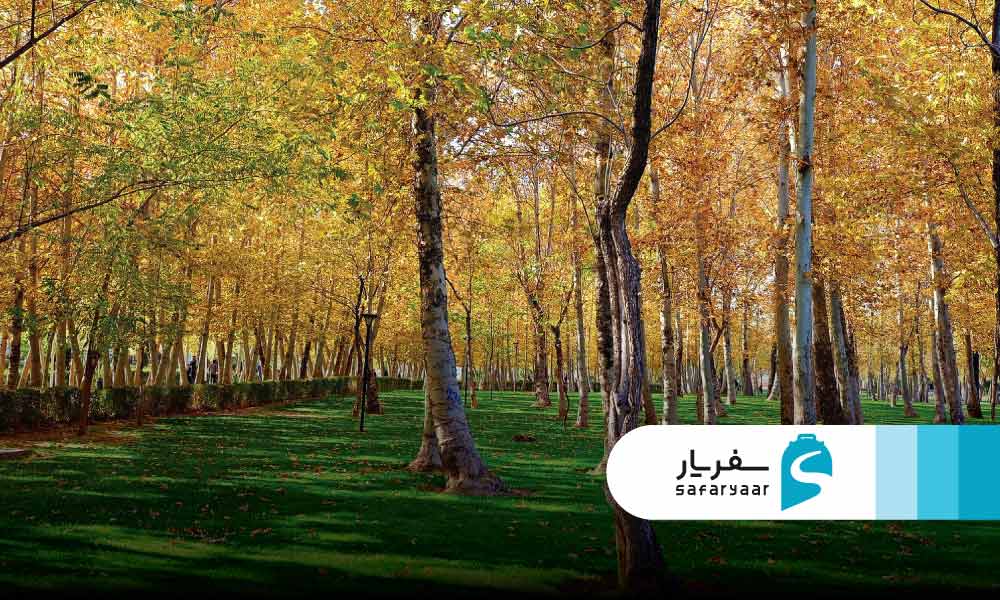پاییز مشهد