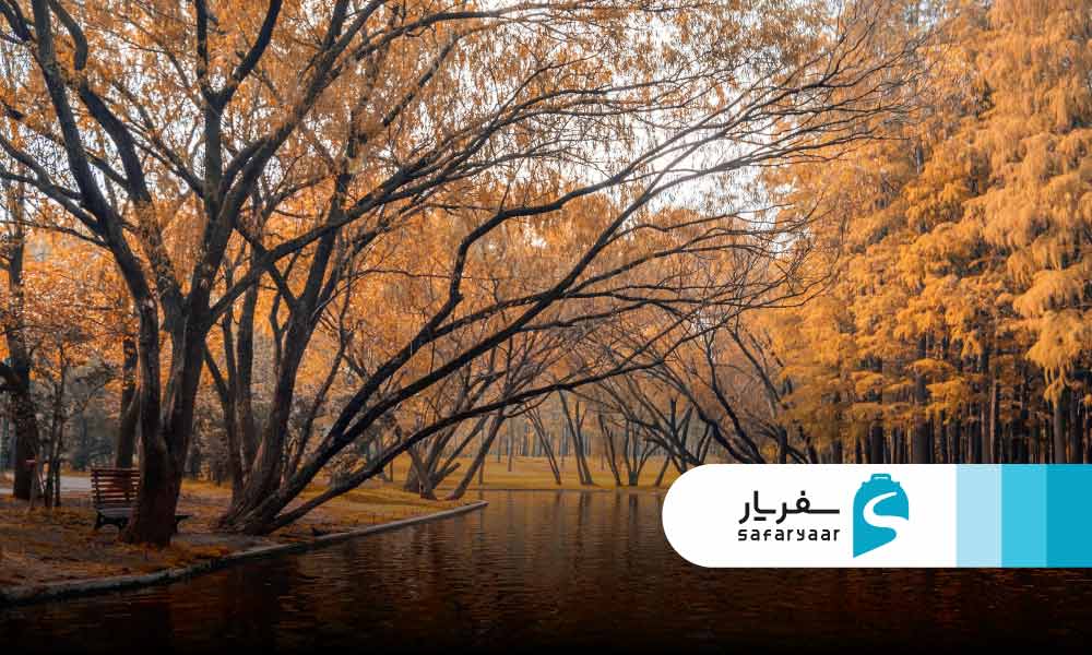 پاییز شانگهای