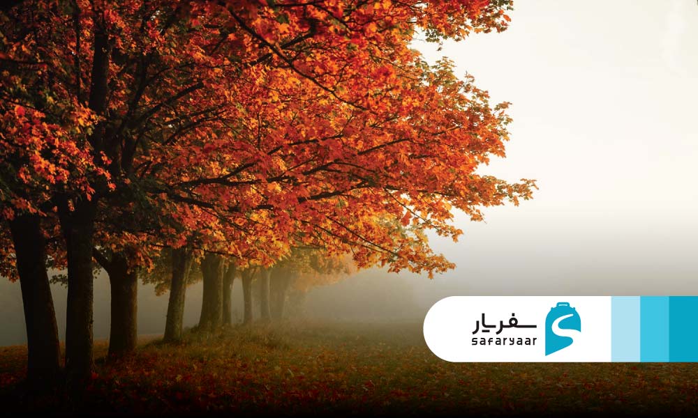 پاییز در آفریقای جنوبی