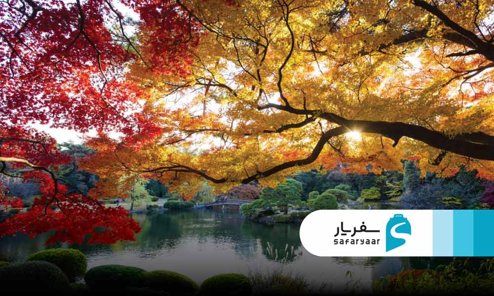 پاییز توکیو