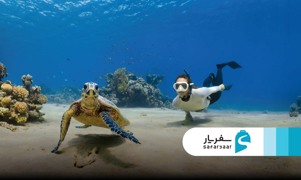 بررسی آب و هوای موریس برای انواع فعالیت ها