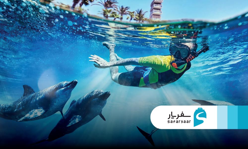خلیج دلفین ها و پارک شیر دریایی
