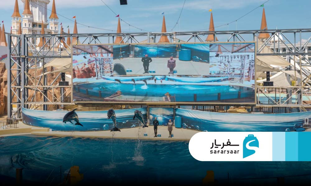 شو دلفین ها و تعامل با حیوانات