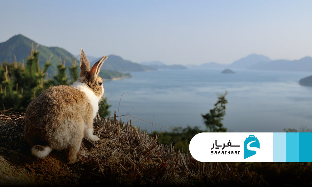 جزیره اکونوشیما