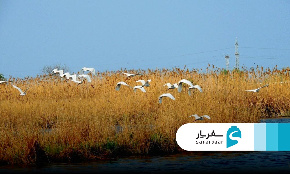 دریاچه ها و رودخانه های معروف