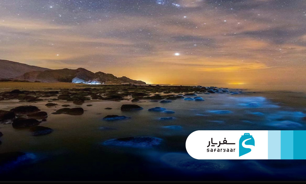 تجربه های جذاب و تفریحات هیجان انگیز در جزیره ناز