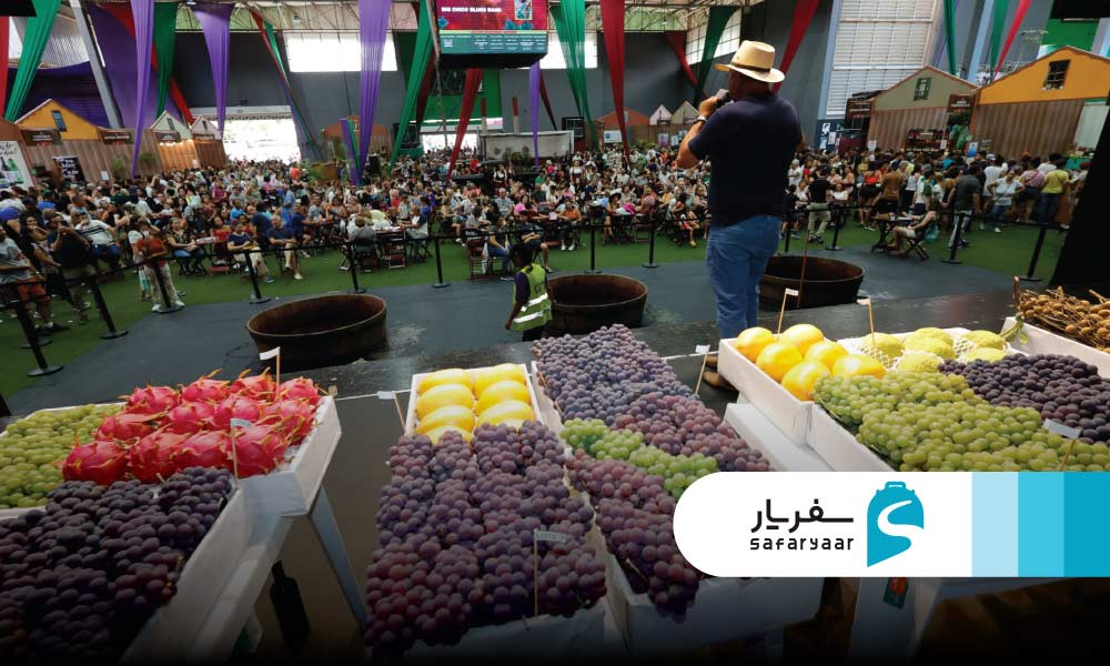 جشن انگور و فرهنگ ایتالیایی جنوب برزیل