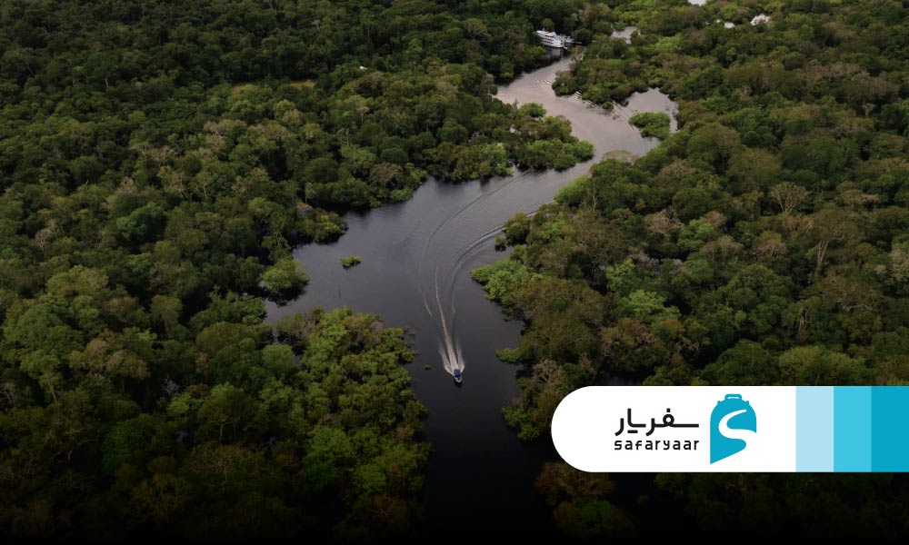 جنگل ها و رودخانه ها