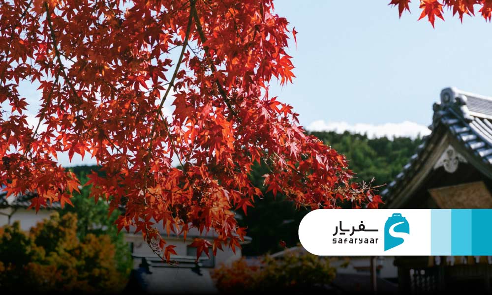 آب و هوای ژاپن در پاییز