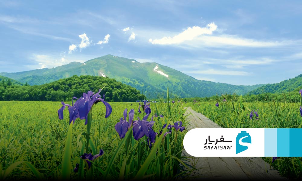 آب و هوای ژاپن در تابستان