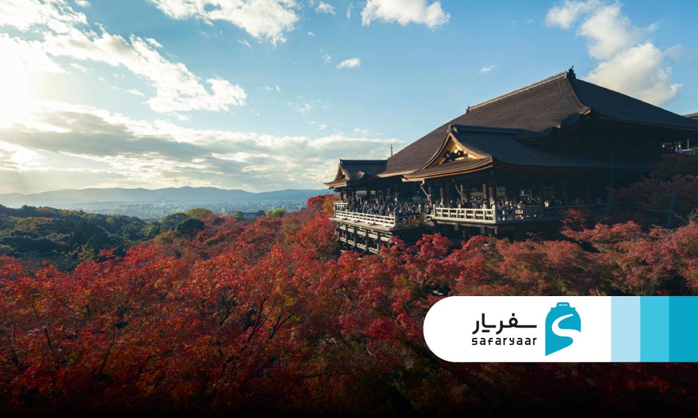 کیته مارونواچی