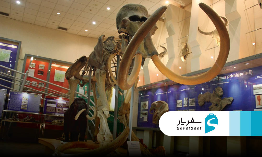 موزه ماموت ها