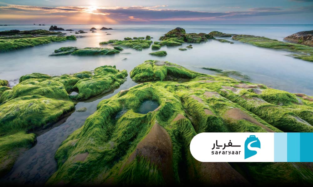 ساحل نام او