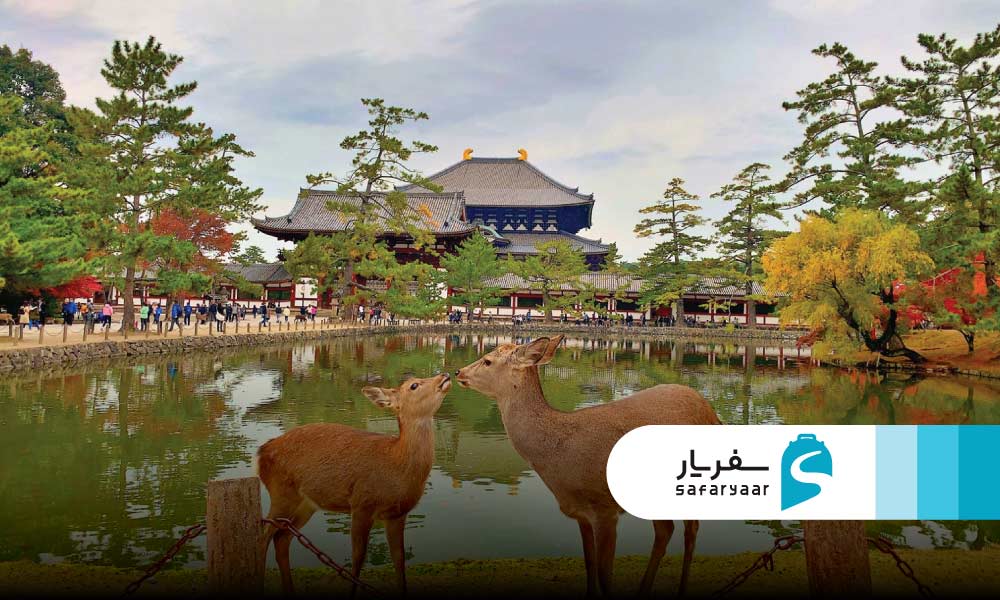 پارک نارا