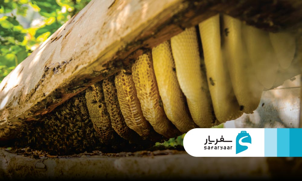 عسل طبیعی