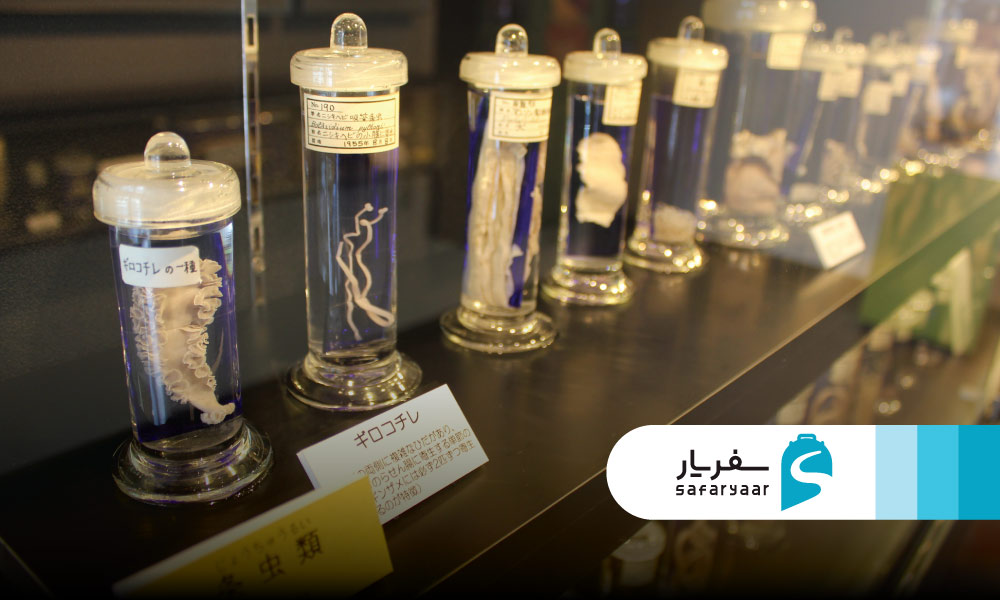 موزه پارازیت شناسی – عجیب و خاص