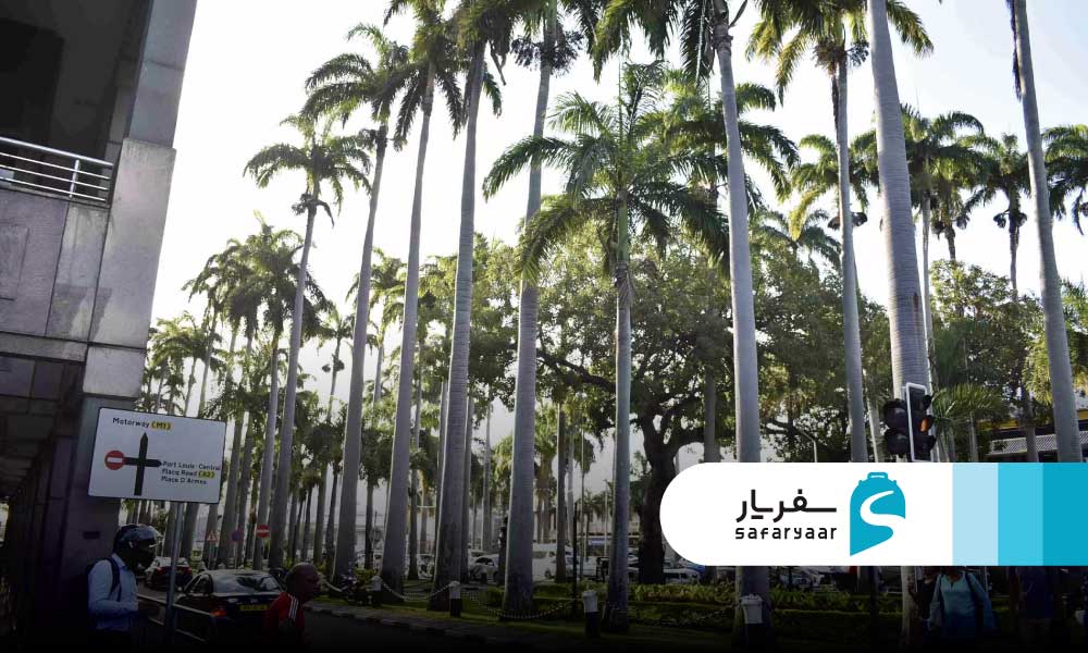 میدان تسیکا