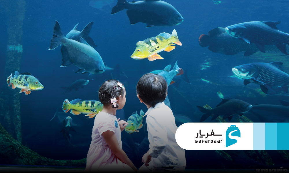 نکات و توصیه های کاربردی برای مسافران ایرانی