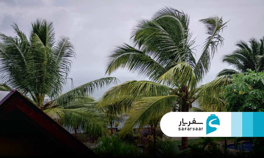 فصل بارندگی و وضعیت رطوبت در موریس