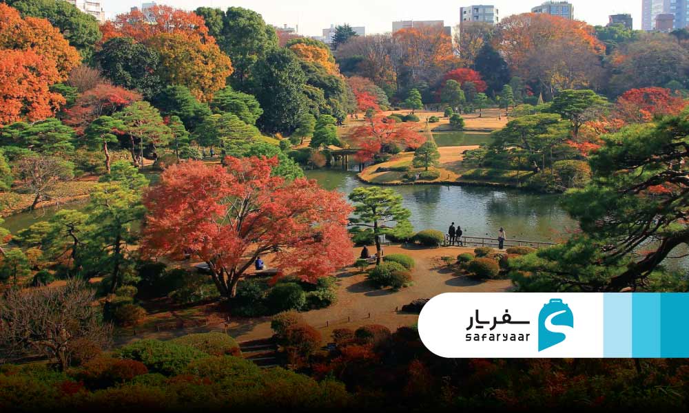 باغ ریکوگی ئن – نورپردازی پاییزی