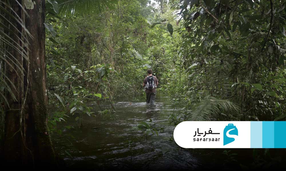 قوانین و بایدها و نبایدهای سفر به آمازون