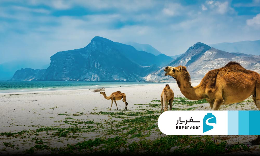 صلاله – خنک و بارانی