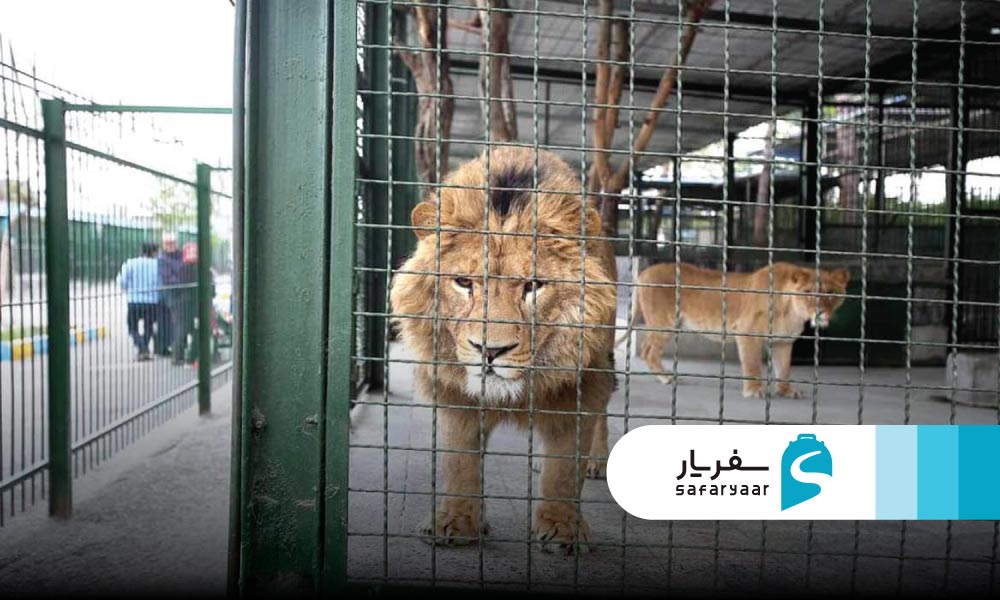 دیدنی های اطراف پارک وکیل آباد مشهد