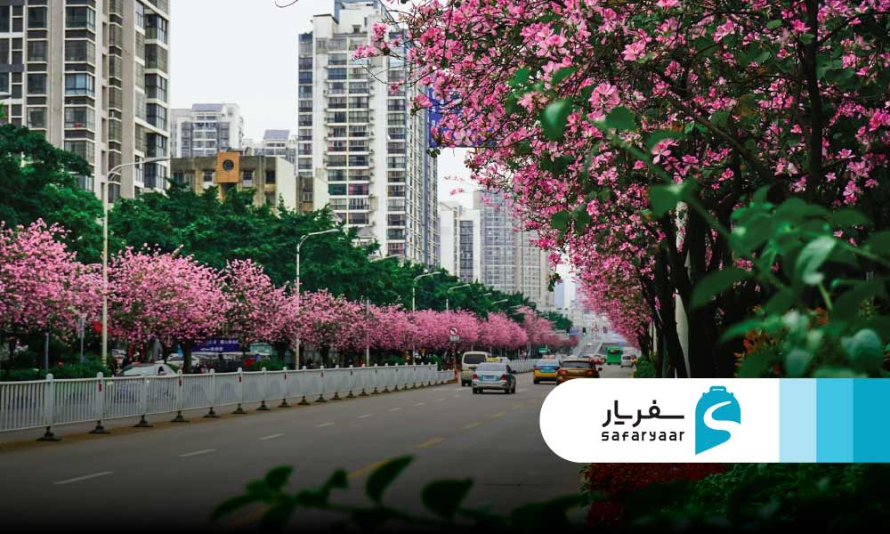 بهار در چین؛ فصلی پر از شکوفه و هوای دلپذیر
