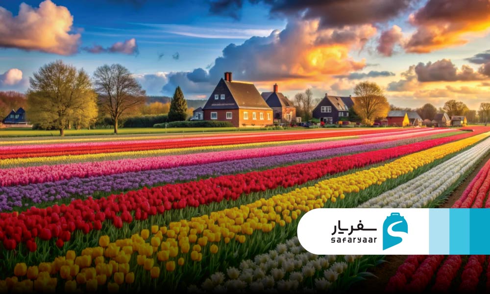 بهار در اروپا: جشنواره های رنگارنگ و طبیعت بیدار