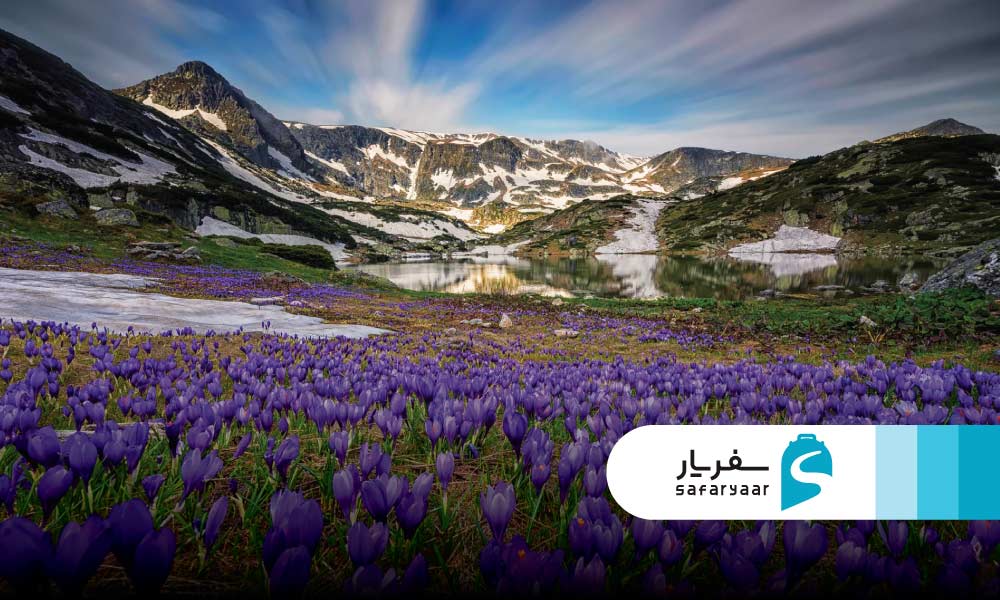 فصل بهار: بیداری طبیعت