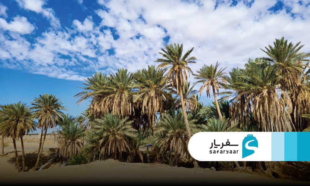 واحه توزر 