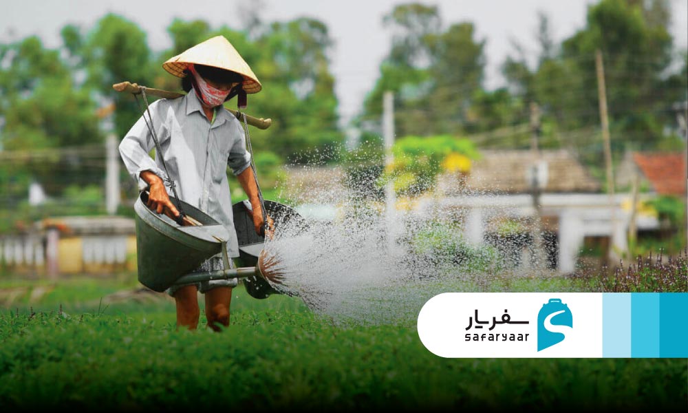 روستای سبزیجات ترا که