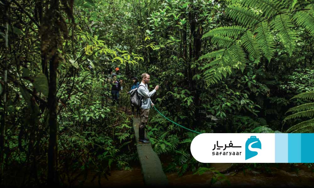 امنیت سفر به آمازون