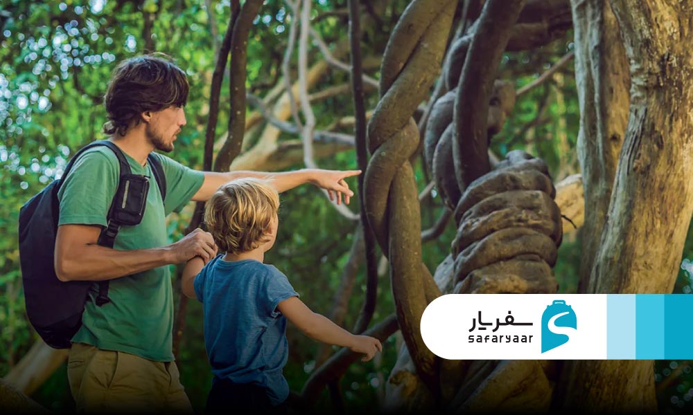 انواع تورهای آمازون برای طبیعت گردی