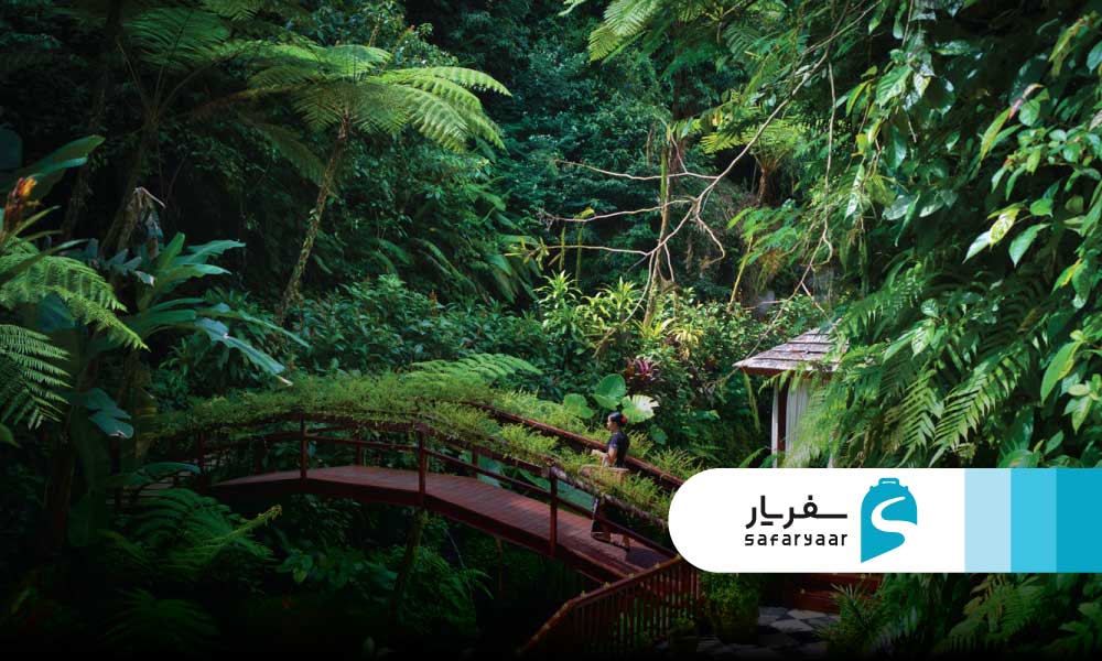 باغ گیاه شناسی اوبود