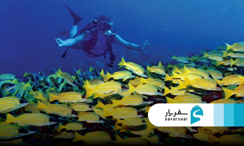 عکاسی زیر آب