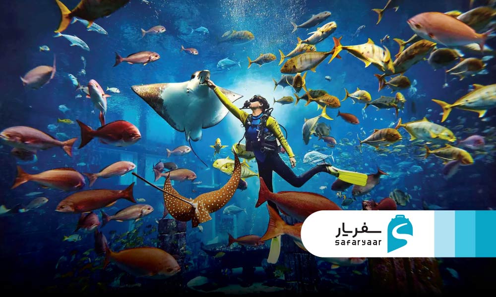 بازدید از آکواریوم آتلانتیس