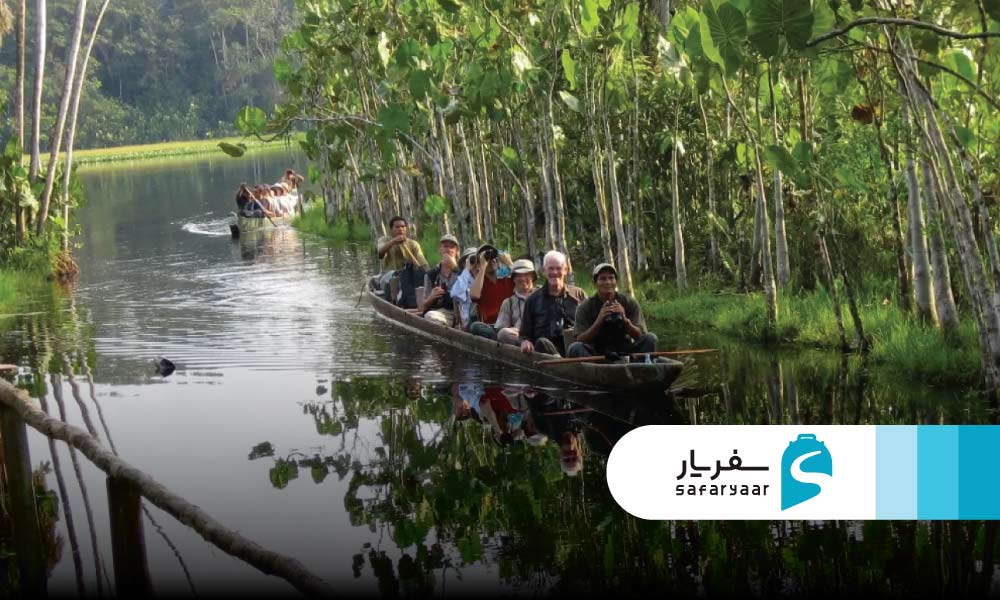 آمازون چه جاذبه هایی دارد