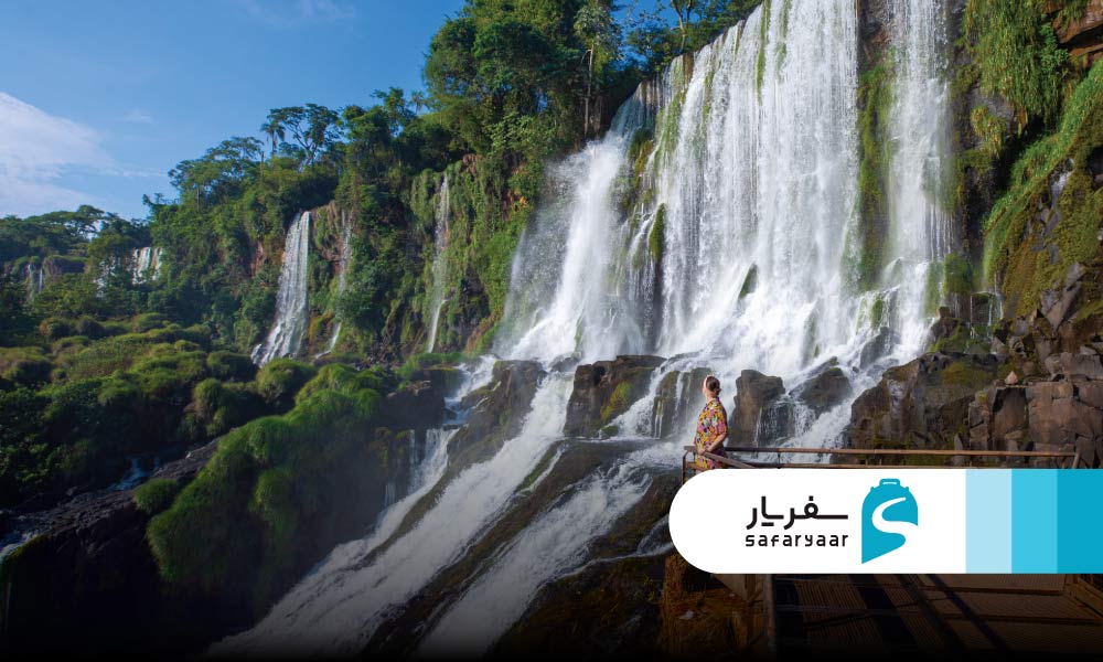 حیات وحش پارک ملی ایگواسو