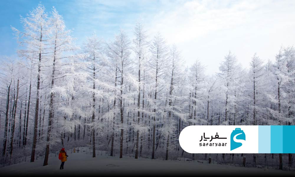 زمستان کره جنوبی دنیای برفی و تفریحات زمستانی