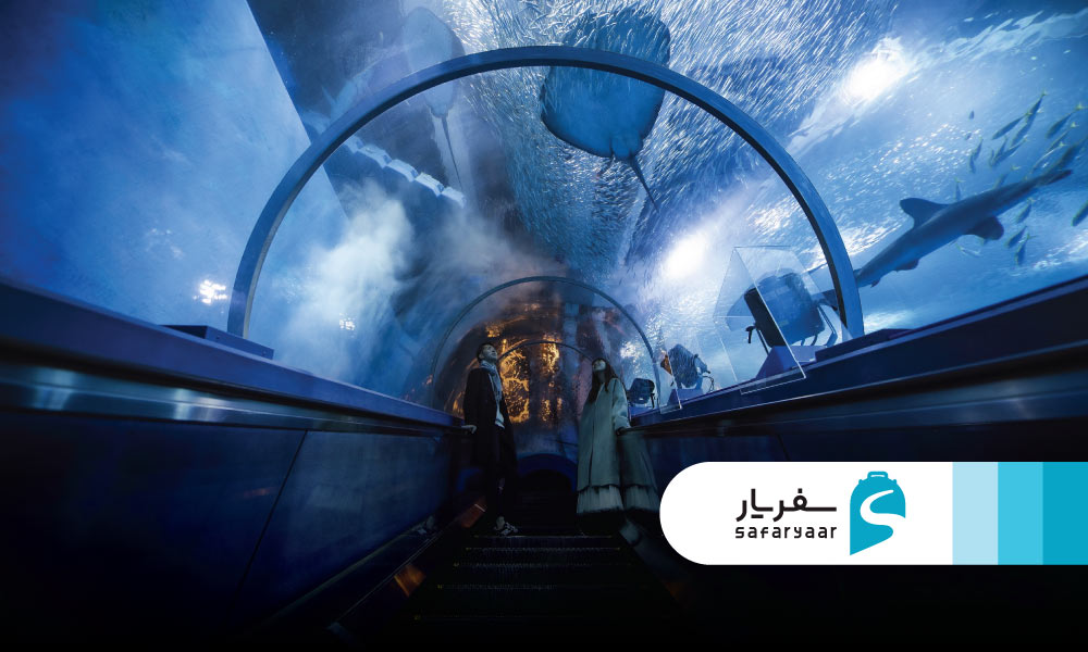 بهشت دریایی یوکوهاما هاکه جیما