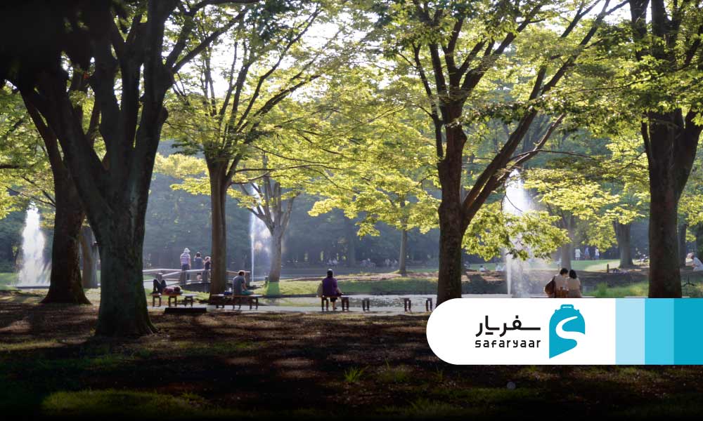 پارک یویوگی – پیک نیک و جشن ها