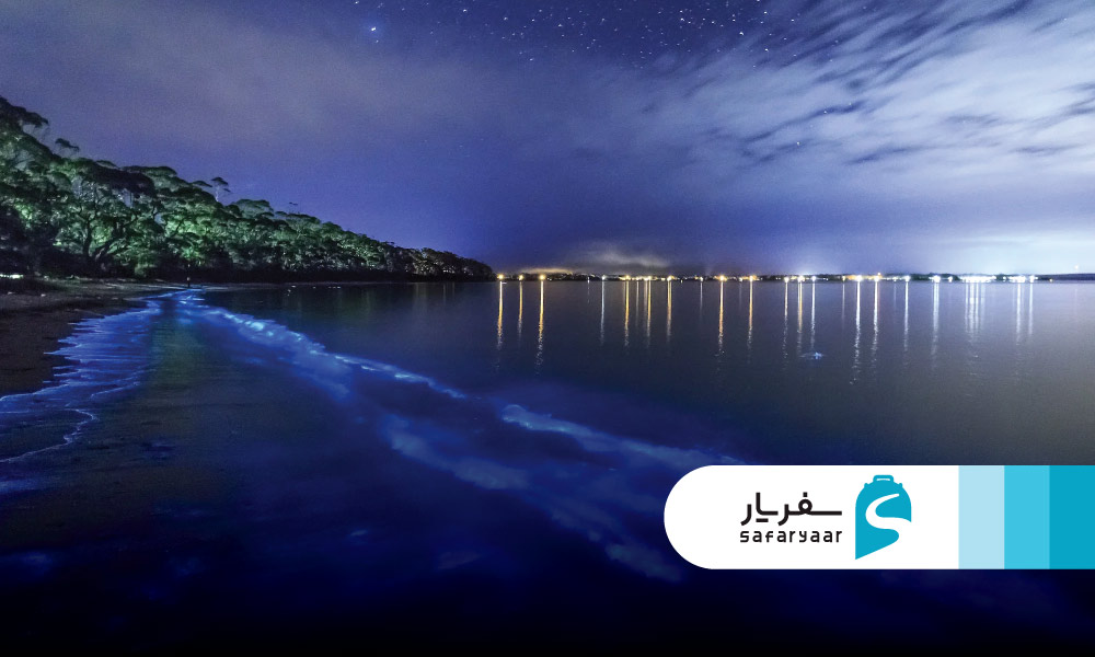 پدیده شگفت انگیز بیولومینسانس در وادهو