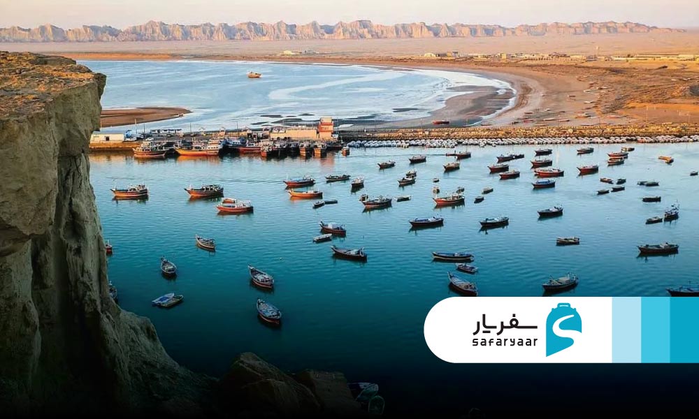 اولین تصویر از گواتر: وقتی دریا، جنگل، سکوت و پرندگان