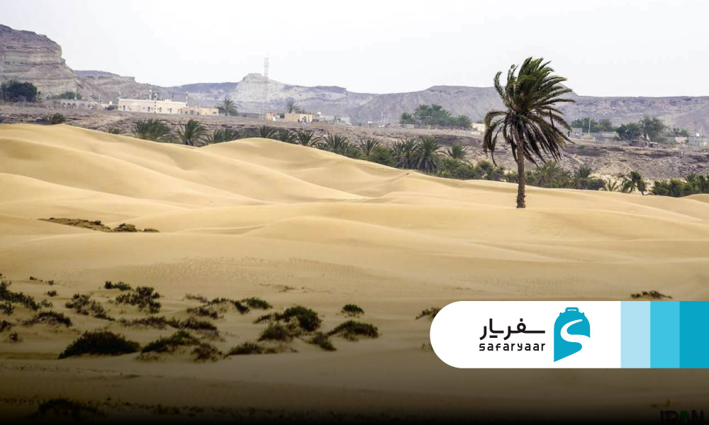 ترکیب جادویی دریا، کویر و نخلستان در یک قاب