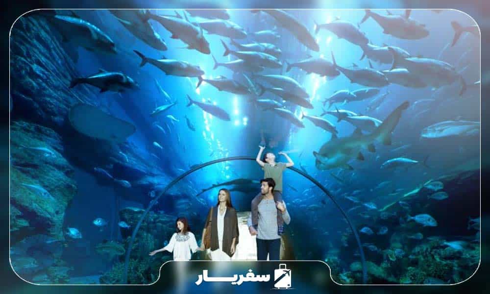 آکواریوم دبی و باغ‌وحش زیر آب